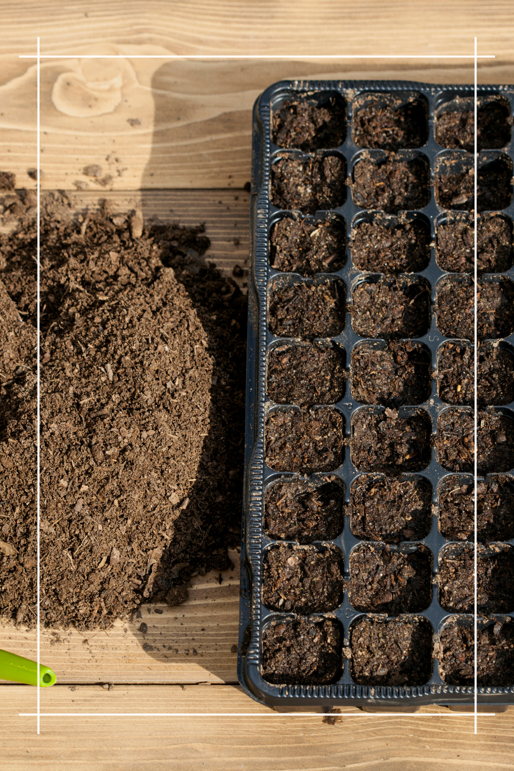 Czy warto stosować ziemię do wysiewu nasion?