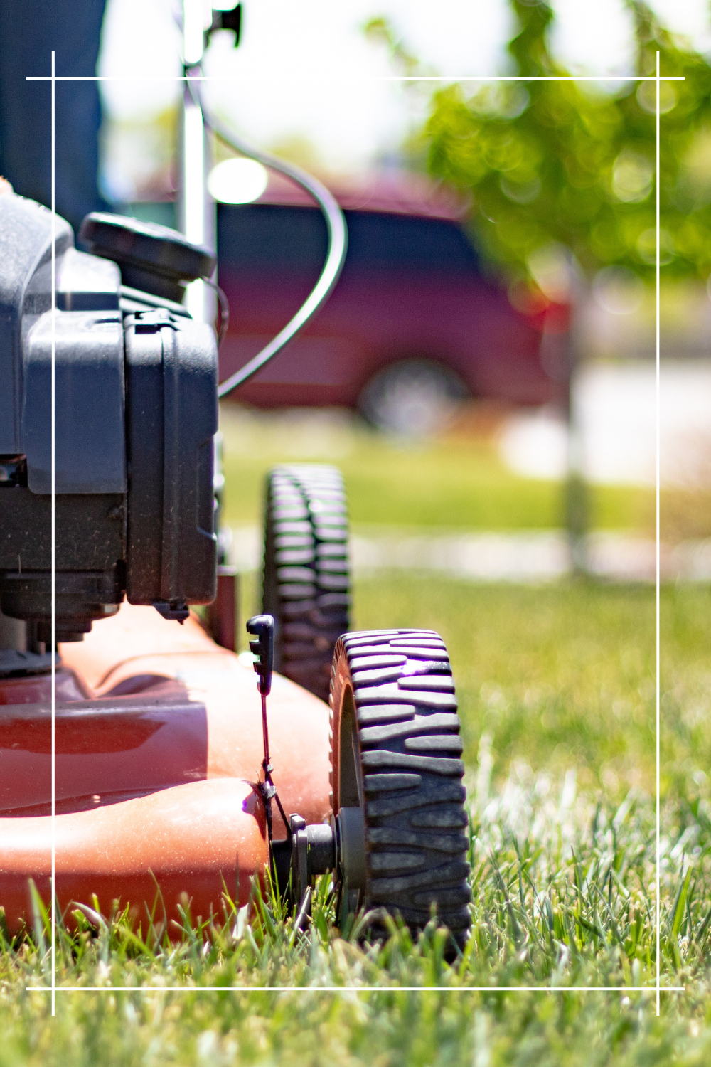 Jak wybrać odpowiednią kosiarkę?