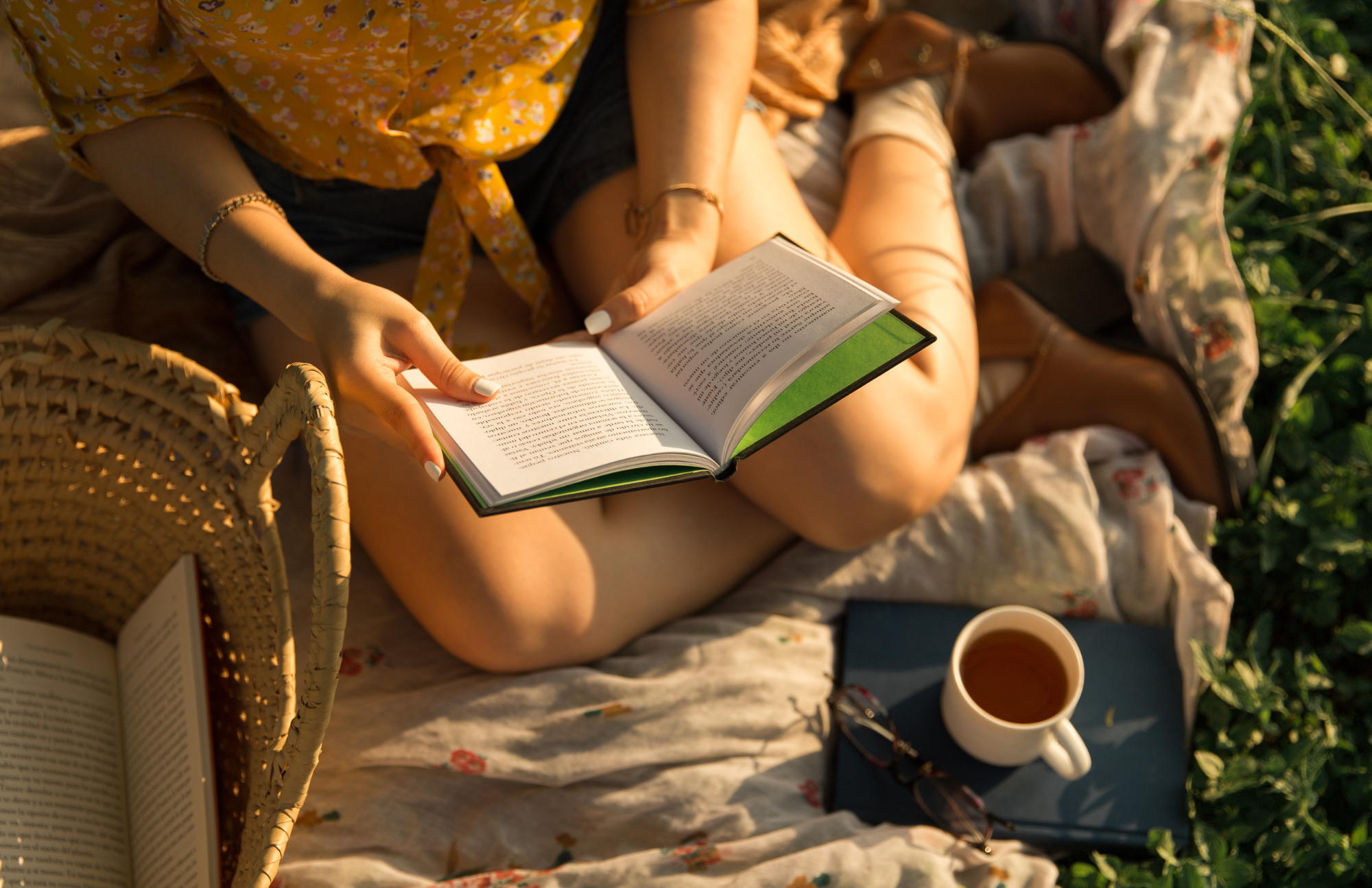 Współpraca z Magazynem Viridis