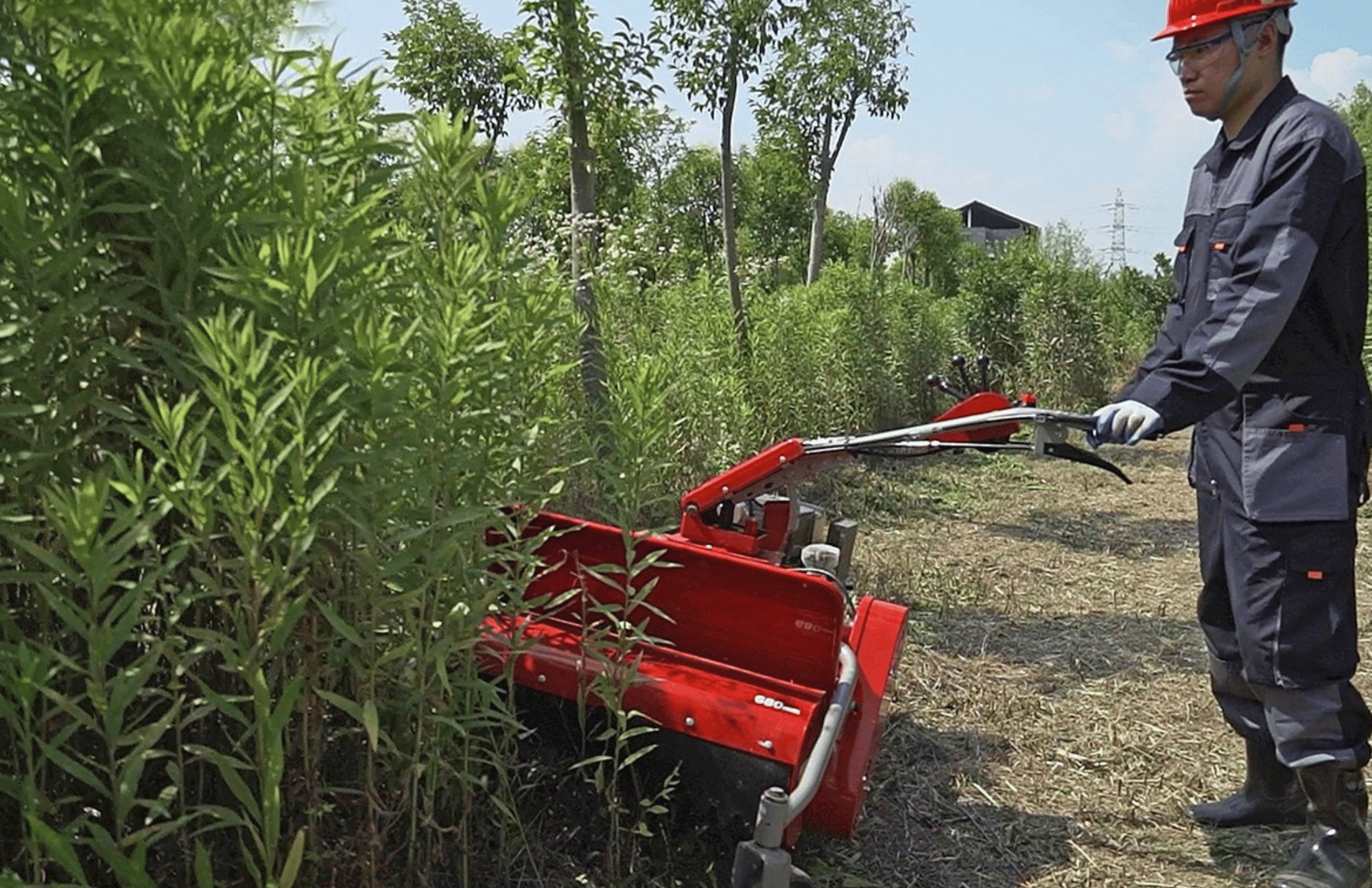 Kosiarki bijakowe - najlepsze modele premium i budżetowe dostępne na rynku