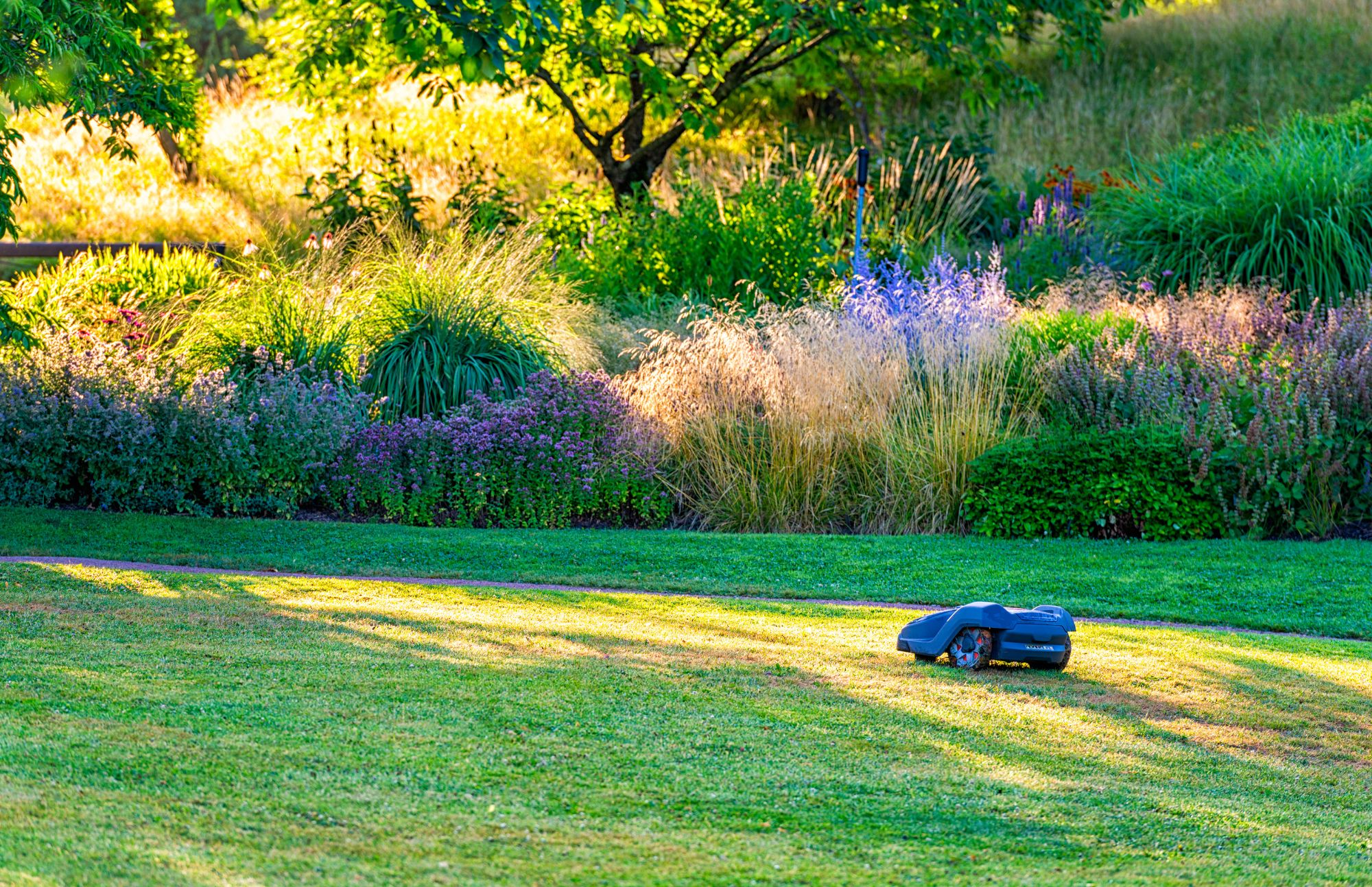 Instalacja robota koszącego – krok po kroku. Poradnik dla początkujących