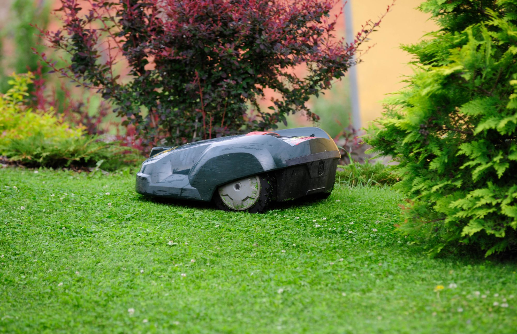 Ile prądu zużywa robot koszący? Rzeczywiste koszty użytkowania