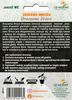 Dracena Smocza  (Dracaena Draco)  5 szt nasion
