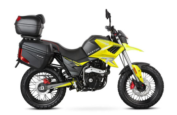 Barton Hyper czarno-żółty