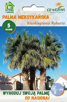 Palma Meksykańska (Washingtonia Robusta) 5 nasion