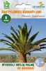 Palma Królewska Daktylowiec Kanaryjski (Phoenix Canariensis) 5 nasion