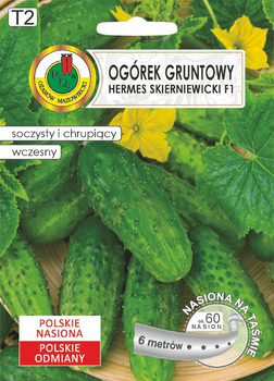 Ogórek 'Hermes Skierniewicki' F1 na taśmie – wczesna, plenna odmiana do konserwowania i kiszenia