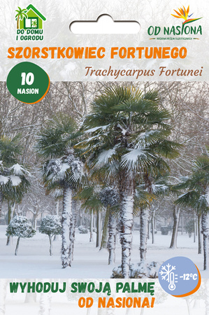 Szorstkowiec Fortunego (Trachycarpus Fortunei) 10 nasion