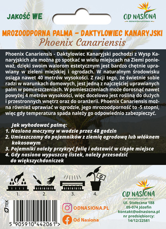 Palma Królewska Daktylowiec Kanaryjski (Phoenix Canariensis) 5 nasion