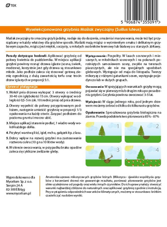 Grzybnia MAŚLAK ZWYCZAJNY 10g