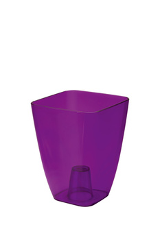 0300T-T04 storczyk kwadrat transparentny 13 fioletowy