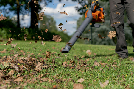 Dmuchawa Oleo-Mac BV 250 + zestaw do odkurzania 2w1 odkurzacz spalinowy, klasa premium 56609001E5Z OGRODY Oficjalny dystrybutor Autoryzowany dealer i serwis Oleo-Mac