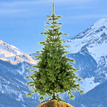 Choinka sztuczna Świerk Alpejski PE+PCV 240 cm stojak metalowy