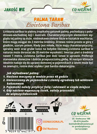 Palma Livistona Saribus Taraw (Livistona Saribus) 5 nasion