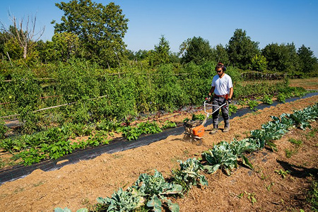 Glebogryzarka Oleo-Mac MH 155 K glebogryzarka spalinowa kultywator 2,4KM / 46cm klasa premium 68569003e5 OGRODY Oficjalny dystrybutor Autoryzowany dealer i serwis Oleo-Mac