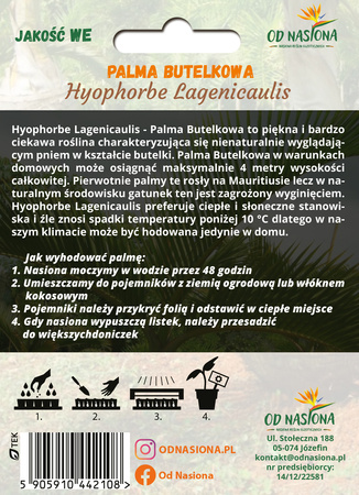 Palma Butelkowa (Hyophorbe Lagenicaulis) 3 nasiona