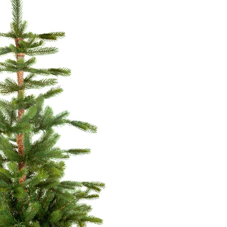 Choinka sztuczna Świerk Alpejski PE+PCV 240 cm stojak metalowy