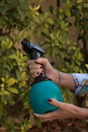 Opryskiwacz akumulatorowy Forest 1