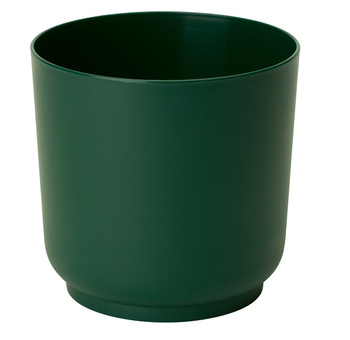 4200-075 Satina 15 leśny mech