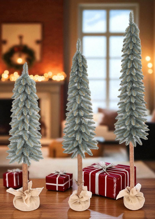 Choinka Świerk srebrny na pniu – Srebrzysta Smukła Elegancja 140 cm