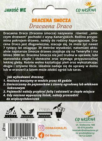 Dracena Smocza (Dracaena Draco) 5 szt nasion