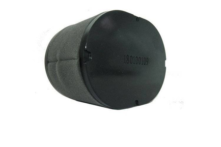 Filtr powietrza silnika Emak K2200 seria 2