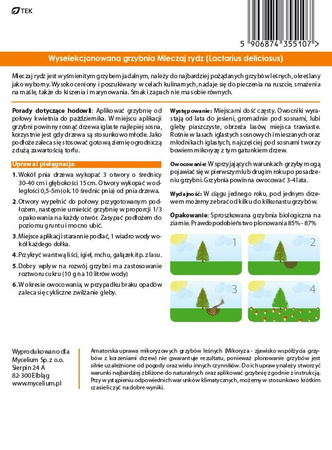 Grzybnia MLECZAJ RYDZ 10g