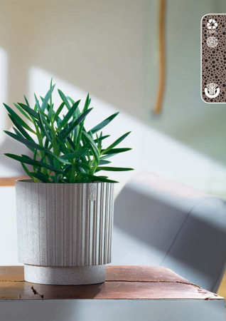 5350-078 Mika Cyli Petit 14 Eco Wood naturalne drewno