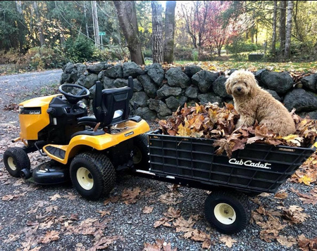 Traktorek Cub Cadet XT2 PR106 traktorek ogrodowy kosiarka samojezdna spalinowa do trawy 320L / 14.90 kW 13AJA1TR603 OGRODY Oficjalny dystrybutor Autoryzowany sklep i serwis CubCadet