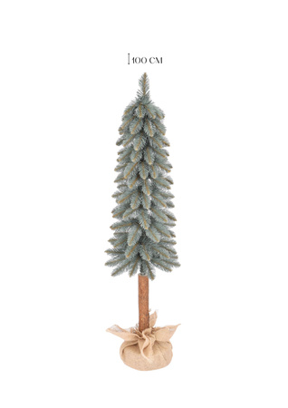 Choinka Świerk srebrny na pniu – Srebrzysta Smukła Elegancja 180 cm