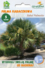 Palma Kabaczkowa (Sabal Palmetto) 5 nasion