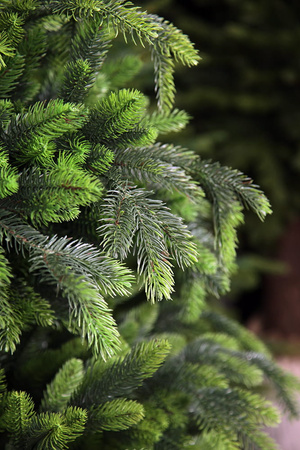 Choinka sztuczna Świerk Jak Żywy 100% PE 250 cm stojak metalowy