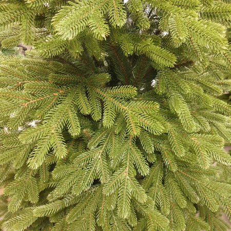 Choinka sztuczna Świerk Tyrolski PE+PVC 135 cm stojak plastikowy