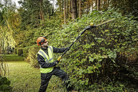 DCMPH566P1-QW Dewalt 18V Nożyce do żywopłotu na wysięgniku OGRODY Oficjalny dystrybutor Autoryzowany sklep DeWalt