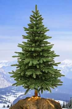 Choinka sztuczna Jodła Hiszpańska 250 cm PCV stojak metalowy