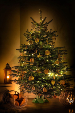 Plastikowy stojak pod żywą choinkę 15W Gwiazda Bost