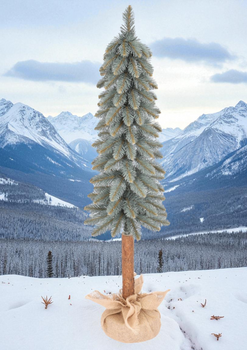 Choinka Świerk srebrny na pniu – Srebrzysta Smukła Elegancja 100 cm