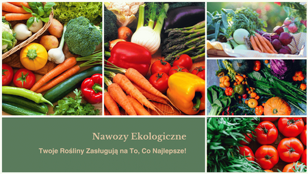 Nawóz Biohumus Do Warzyw 2L Ekodarpol