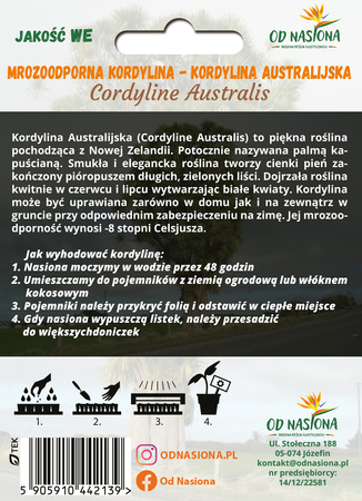 Palma Kordylina Australijska (Cordyline Australis) 10 szt nasion