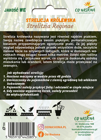 Strelicja królewska (Strelitzia Reginae) 5 nasion