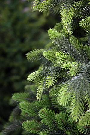 Choinka sztuczna Świerk Jak Żywy 100% PE 250 cm stojak metalowy
