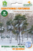 Szorstkowiec Fortunego (Trachycarpus Fortunei) 10 nasion