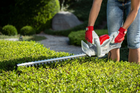 Nożyce do żywopłotu iht 550