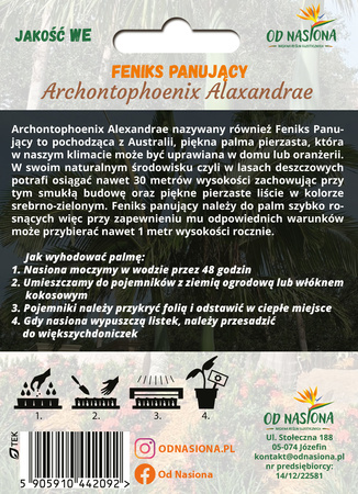 Palma Feniks Panujący (Archontophoenix Alexandrae) 5 szt nasion