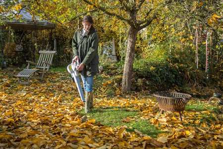 Dmuchawa i odkurzacz do liści ILS3000E odkurzacz elektryczny ogrodowy do liści dmuchawa premium ob-ikrils3000e OGRODY Oficjalny dystrybutor Autoryzowany dealer i sklep Ikra