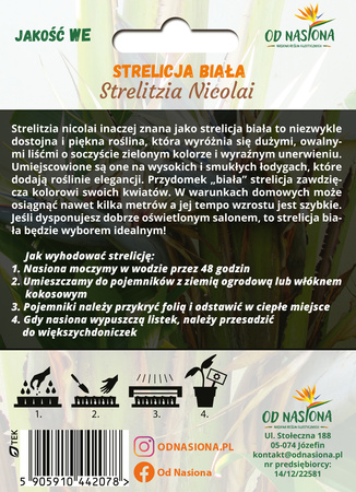 Strelicja Biała (Strelitzia Nicolai) 5 nasion