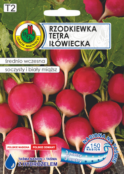 Rzodkiewka 'Tetra Iłówiecka' na taśmie – idealna odmiana do wiosennej i jesiennej uprawy gruntowej