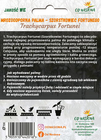 Szorstkowiec Fortunego (Trachycarpus Fortunei) 10 nasion