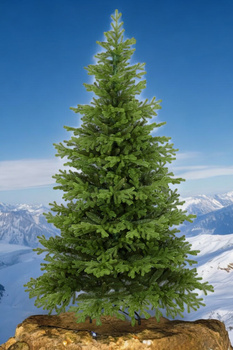 Choinka sztuczna Świerk Tyrolski PE+PVC 230 cm stojak metalowy