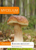 Grzybnia BOROWIK BRZOZOWY 10g